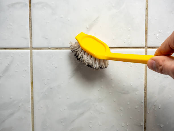  Salisbury, NC Mold Removal Pros