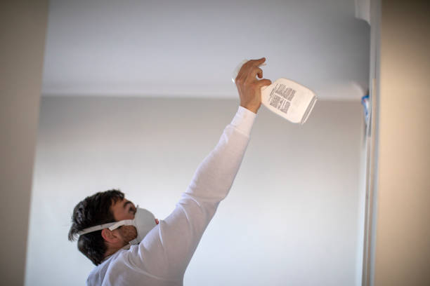 Best Commercial Mold Removal  in Salisbury, NC