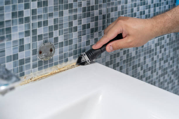 Best Mold Remediation Services  in Salisbury, NC